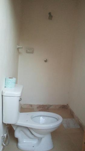 a bathroom with a white toilet in a room at Cabañas Alma Verde in Bacalar