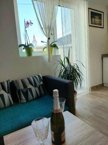 a bottle of wine sitting on a table in a living room at Apartments Karin in Bled