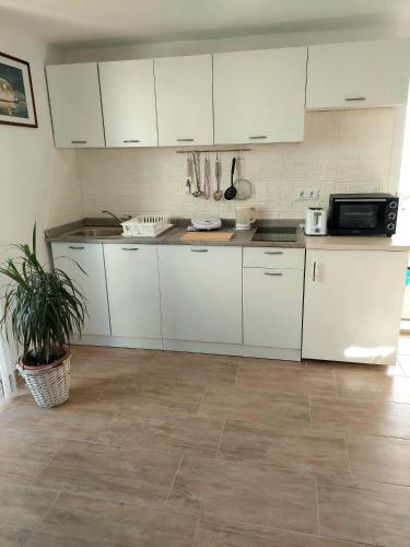 a kitchen with white cabinets and a potted plant at Apartments Karin in Bled