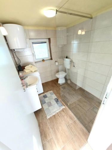 a bathroom with a sink and a toilet and a shower at Apartments Karin in Bled