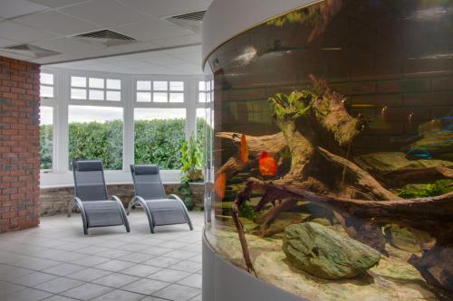 a room with two chairs and a fish tank at Home Farm B&B - Sunflower Room in Forfar