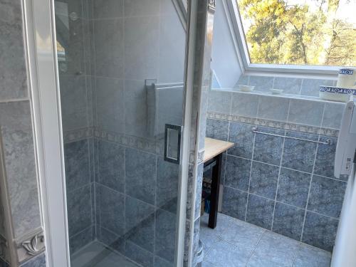 a bathroom with a shower with a glass door at Le Clos Saint Fiacre in Carentoir