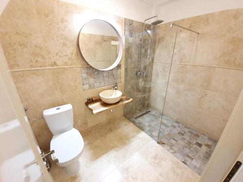 La salle de bains est pourvue d'une douche, de toilettes et d'un lavabo. dans l'établissement Mountain View Ceahlau, à Ceahlău