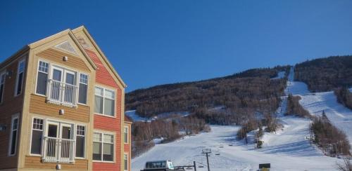 a house on a hill with snow on the ground at Marble Villa in Steady Brook
