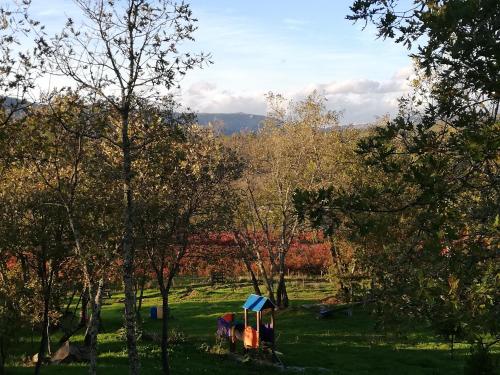 a childrens playground in a field with trees at Quinta dos Carvalhais - Serra da Estrela in Fornos de Algodres