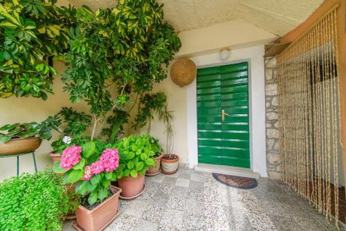 een groene deur aan de zijkant van een huis met potplanten bij Apartment Akacija in Postira