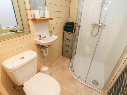 a bathroom with a toilet and a shower and a sink at Badger in Keighley