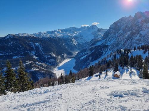 a view of a snowy mountain with trees and a lake at Bergkristall in Gosau