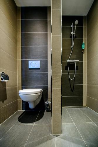 a bathroom with a toilet and a shower at Maashof in Venlo