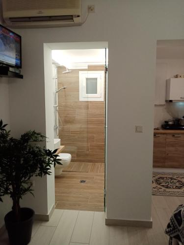 a bathroom with a shower and a toilet in a room at Kiki's Apartments in Barbati