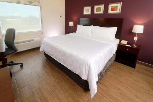 レイノサにあるHoliday Inn Reynosa Industrial Poniente by IHGの大きなベッドと窓のあるホテルの部屋