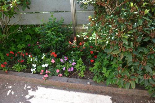 a flower garden with pink and white flowers at Villa Bellevue in Waldkappel