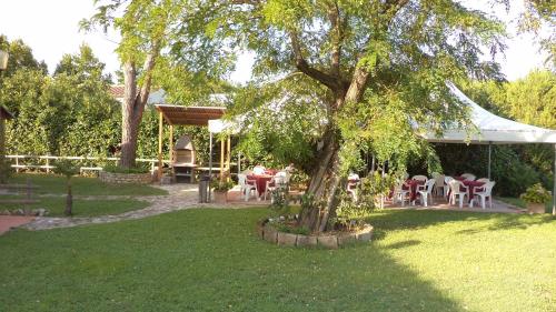 a tree in a yard with tables and chairs at Motorrad-Hotel Toskana con piscina e giardino nel Chianti in Montespertoli