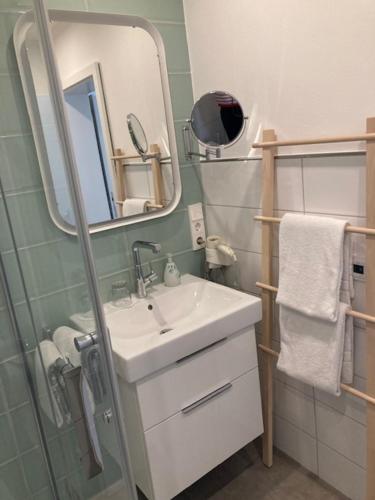 a bathroom with a sink and a mirror and a shower at Hotel Haus Erholung in Cochem