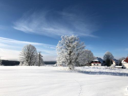 a field covered in snow with trees and houses at Fontána Lipno in Černá v Pošumaví