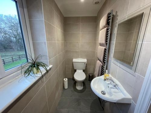 La salle de bains est pourvue de toilettes, d'un lavabo et d'une fenêtre. dans l'établissement Graceland Farm B&B, à Brockenhurst