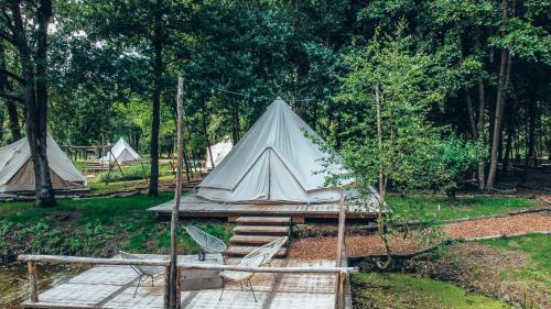 grupa namiotów na polu z drzewami w obiekcie POLE POLE - Ijsbeer w mieście Lichtaart