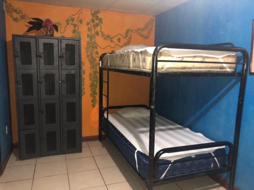 a bedroom with two bunk beds in a room at La Palapa Hut Nature Hostel in Puerto Jiménez