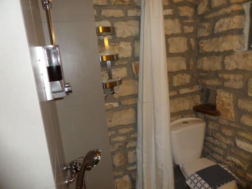 baño con pared de piedra y aseo en Kalpaki stone apartment 2. en Elaía