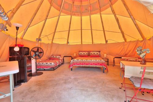 The Driftwoods - Tipi – Photos 2