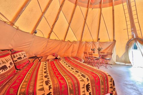 The Driftwoods - Tipi – Photos 3