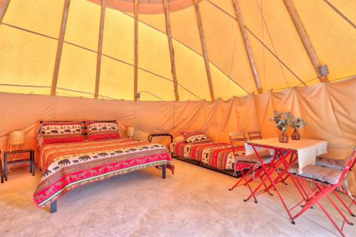 The Driftwoods - Tipi – Photos 4