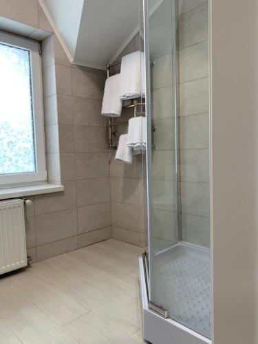 a shower with a glass door in a bathroom at Котедж Макс in Slavske