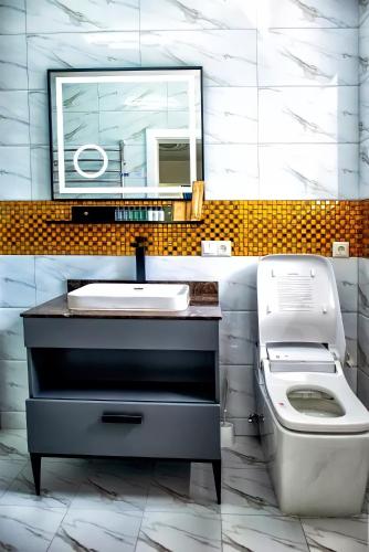 a bathroom with a sink and a toilet and a mirror at AVE MEDICA Apartments in Palanga