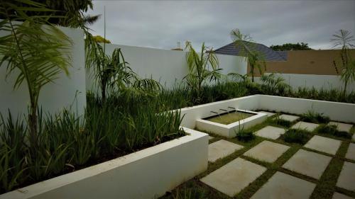 Taman di luar The Executive Bed and Breakfast