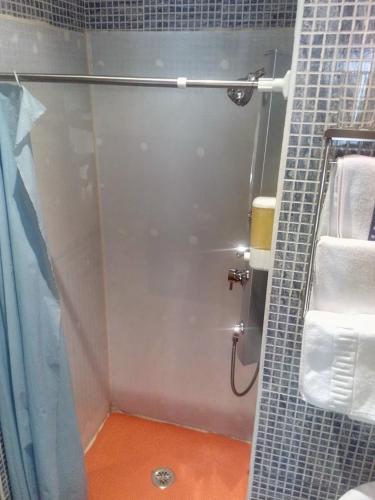 a shower with a glass door in a bathroom at ALBOR II in Gijón