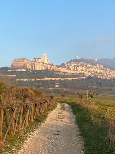 a dirt road with a fence and a castle on a hill at B&B Domus Benedicta in Assisi