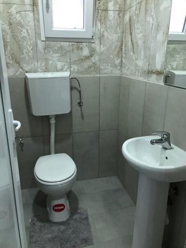 a bathroom with a toilet and a sink at Aphrodite Hills Apartments-Stara Planina in Crni Vrh