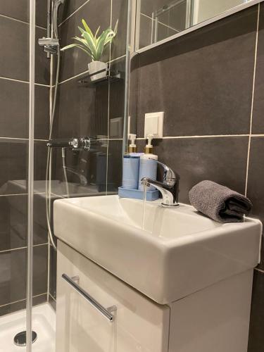 La salle de bains est pourvue d'un lavabo et d'une douche. dans l'établissement Paower Apartment, à Vienne
