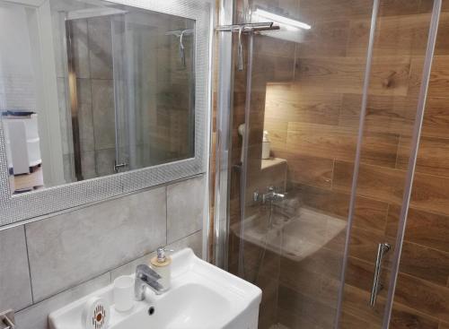 a bathroom with a sink and a shower at Angela Studio Apartments in Zagreb