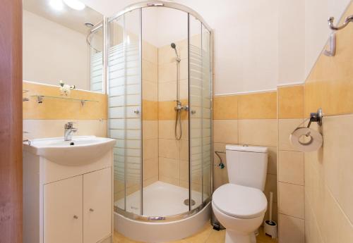 a bathroom with a shower and a toilet and a sink at Oasis in Gąski