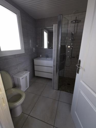une salle de bain avec une douche, des toilettes et un lavabo dans l'établissement logement 1Chambre et 1 clic clac, à Castets