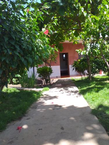 Zahrada ubytování Hostal Bullshark