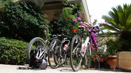 two bikes parked in front of a house with flowers at Hotel Desenzano in Desenzano del Garda