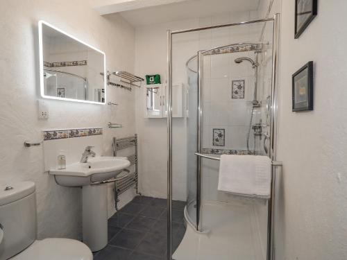 a bathroom with a shower and a sink and a toilet at Quiet Waters Cottage in Coleraine