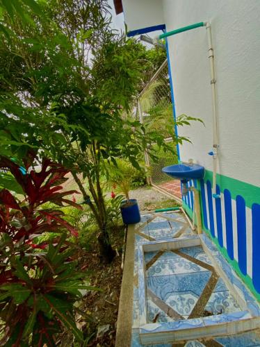 a garden with a blue fence and some plants at HOSTAL EL DESCANSO in Capurganá