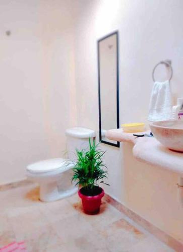 a bathroom with a toilet and a sink and a plant at Casa Brisa sol in Acapulco