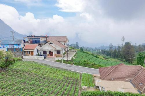 a house on a hill next to a road at Tengger Indah Bromo Homestay at Desa Wisata Bromo Mitra RedDoorz in Probolinggo