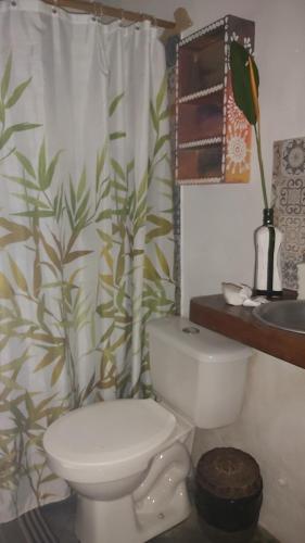 a bathroom with a toilet and a shower curtain at Guest House Boki da Zezé in Marau