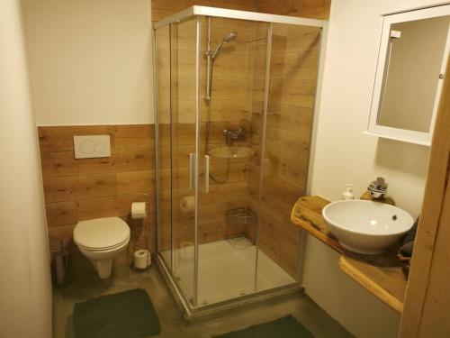 ein Bad mit einer Dusche, einem WC und einem Waschbecken in der Unterkunft Kaiserhaus Harald Astner Ebbs Studio 1 in Ebbs