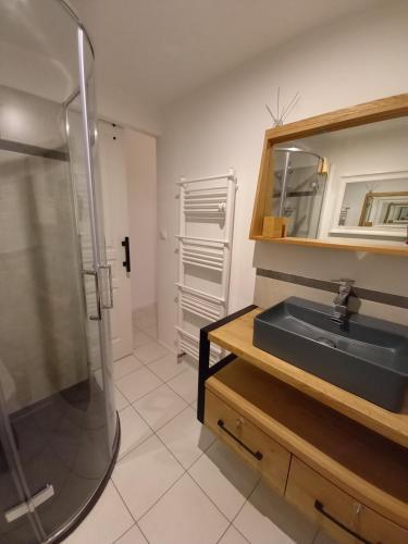 une salle de bain avec un lavabo, une douche et un miroir dans l'établissement Studio Kerwood Sud Morbihan vue sur la Vilaine, à Béganne