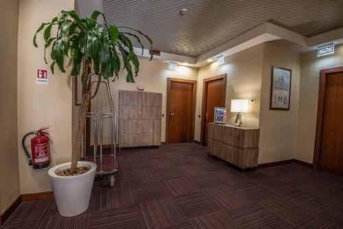 a hallway with a potted tree in a hotel lobby at Hotel Petra in La Romanina