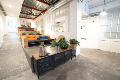 a living room with couches and a table with plants at Koba Hostel in San Sebastián