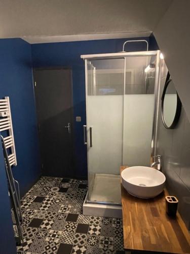 une salle de bain avec douche et toilettes dans l'établissement Appartement Yuandudu, à Noyers-sur-Cher