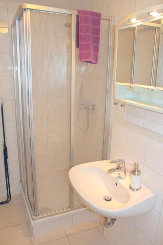 a bathroom with a sink and a shower at Doppelzimmer - Monteurswohnung - Arbeiterwohnung 4-8 Personen in Plaue