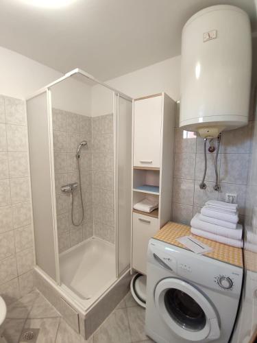 a bathroom with a shower and a washing machine at Apartman Mare Vir in Vir